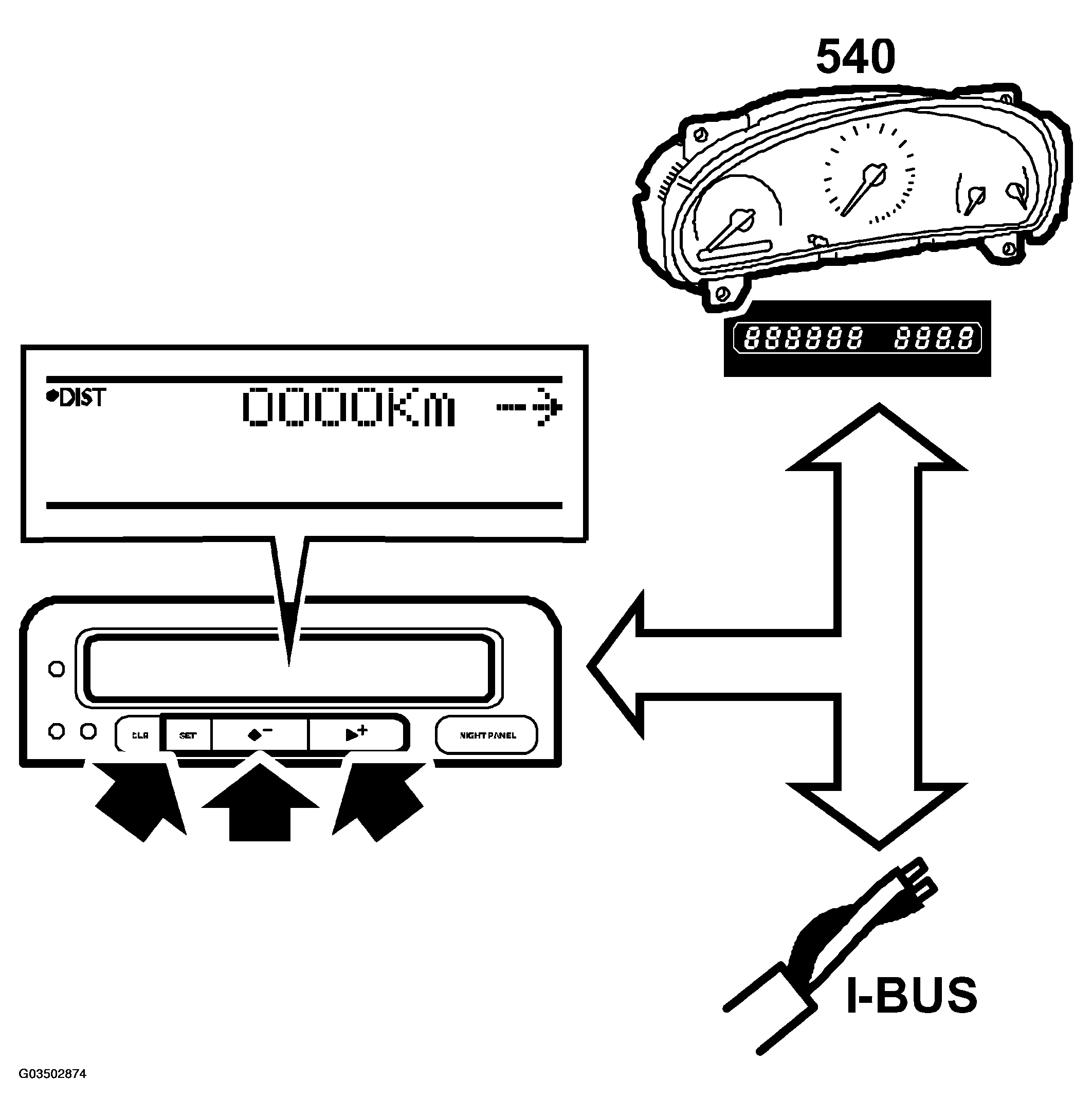 G03502874