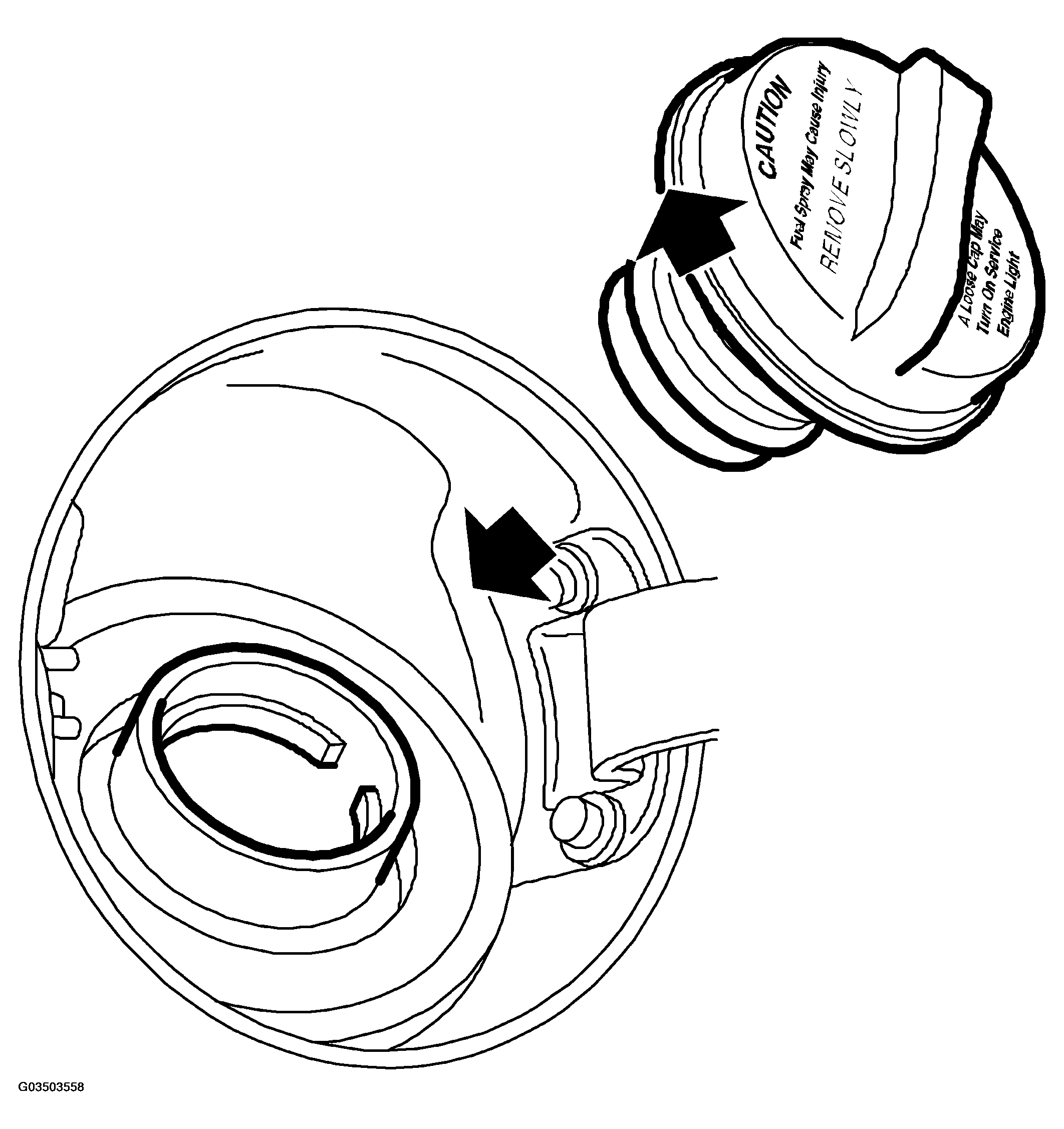 G03503558