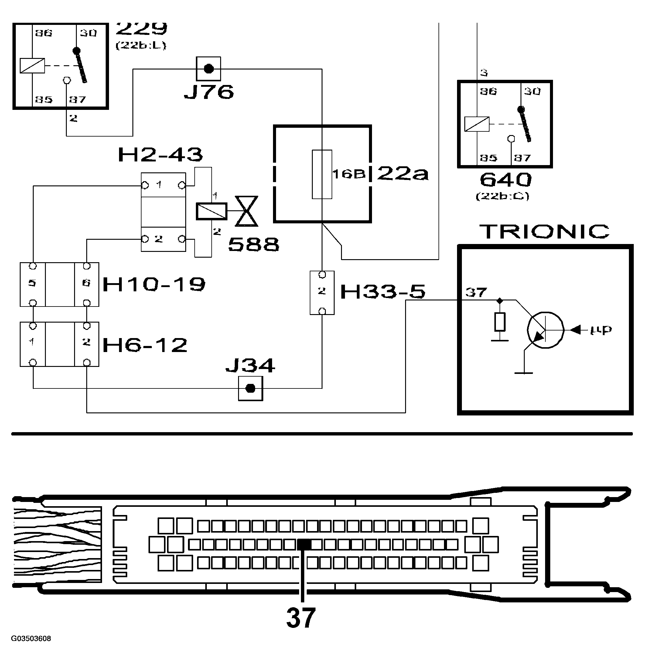 G03503608
