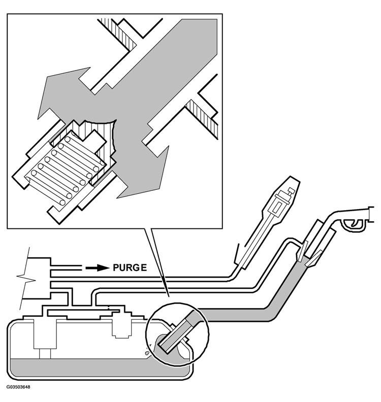 G03503648