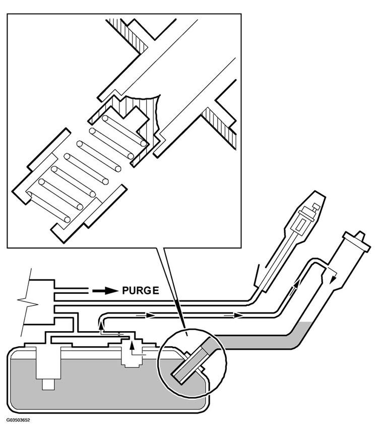 G03503652