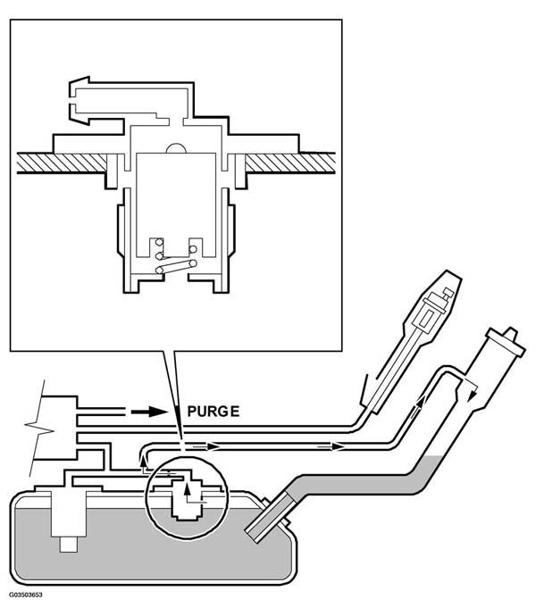 G03503653