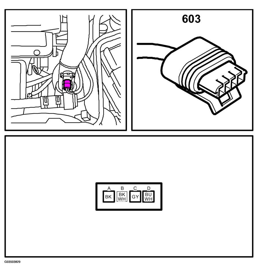 G03503829