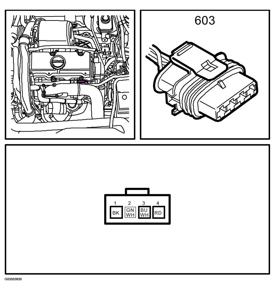 G03503830