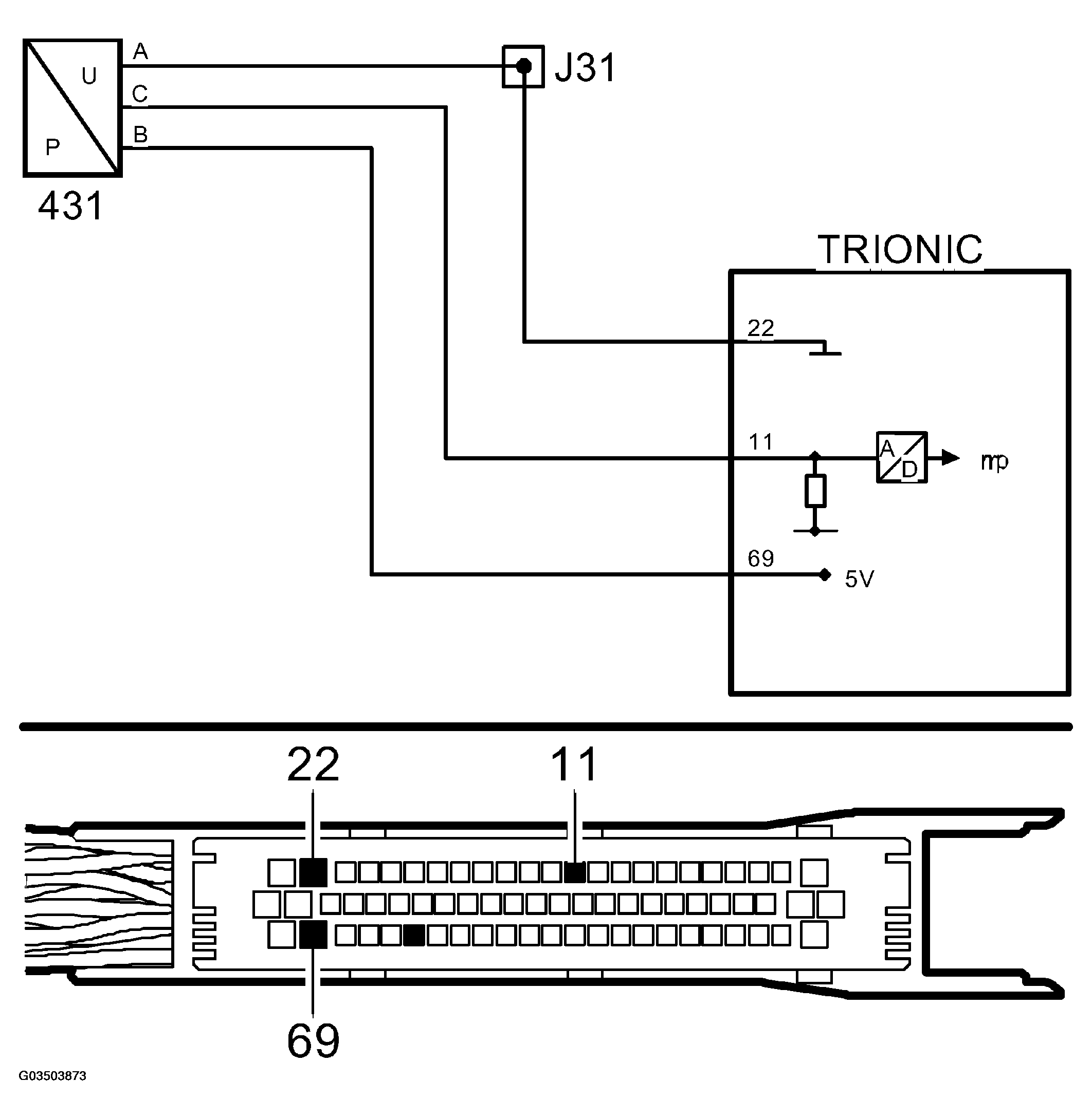 G03503873