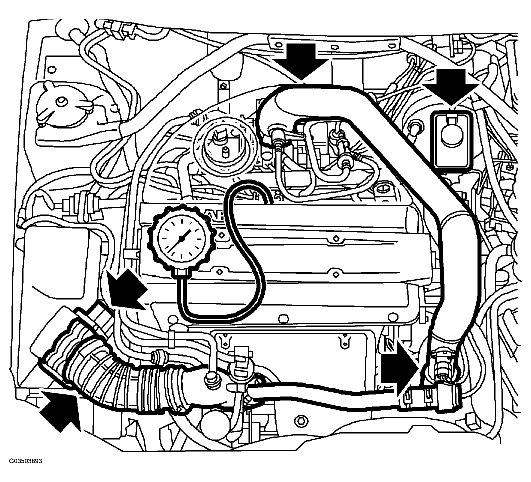 G03503893