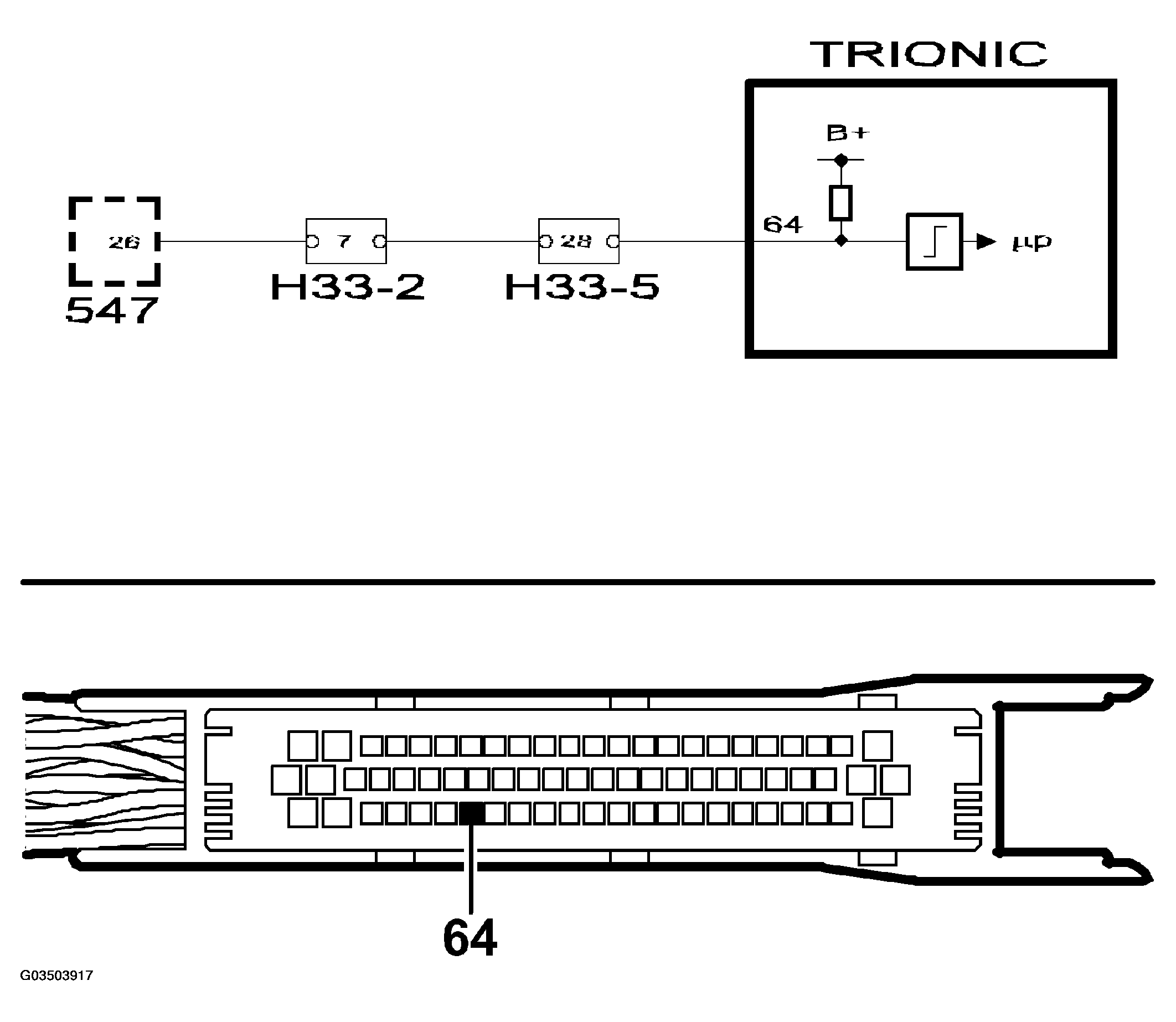 G03503917