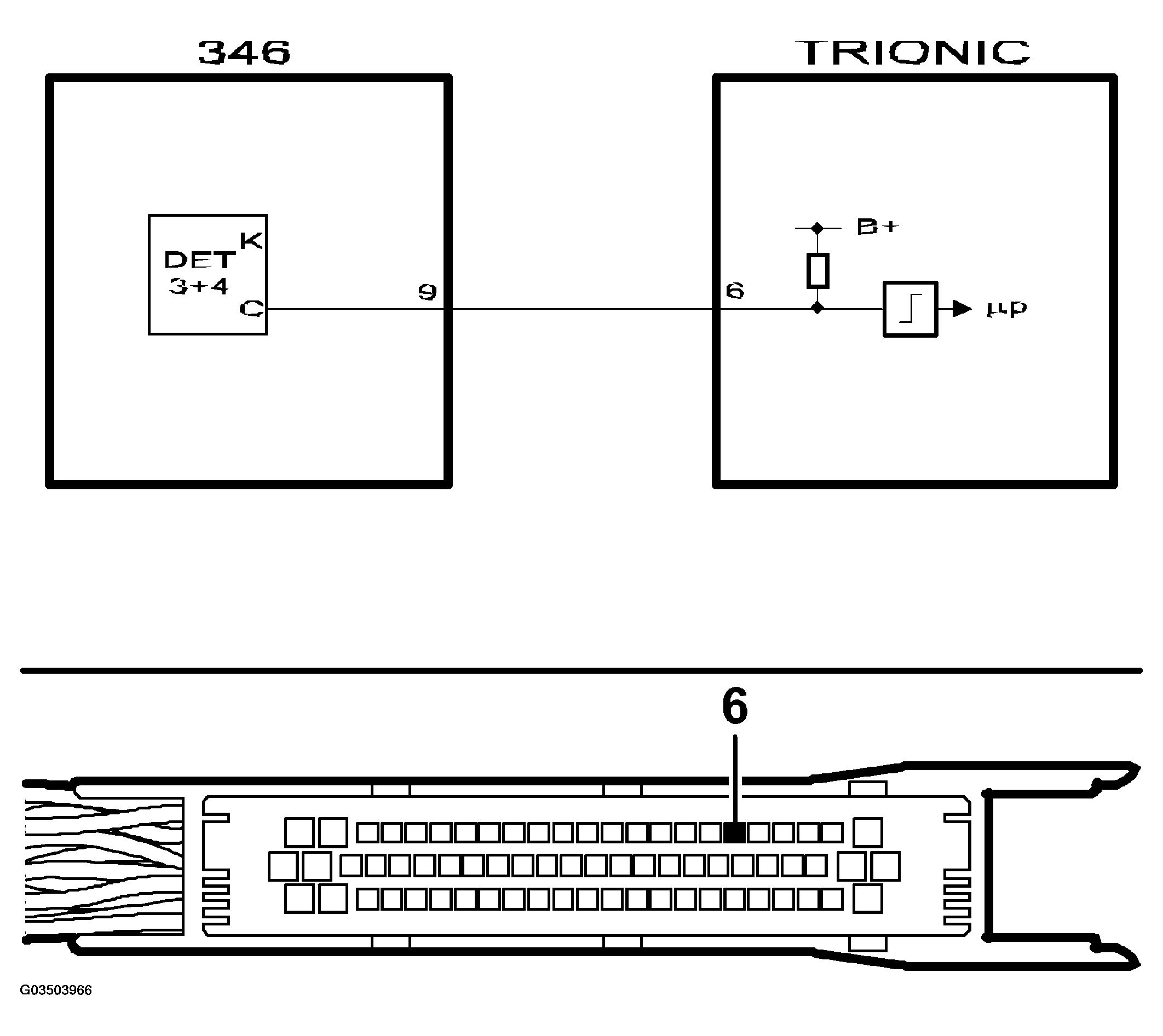G03503966