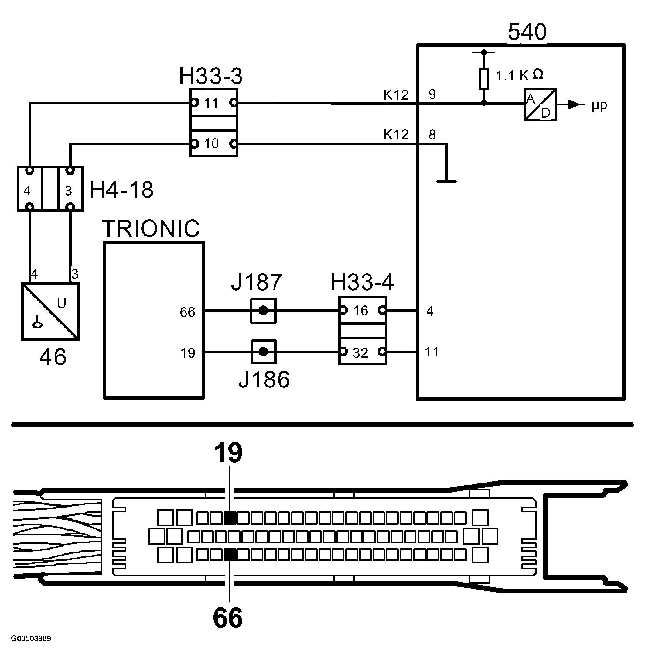 G03503989