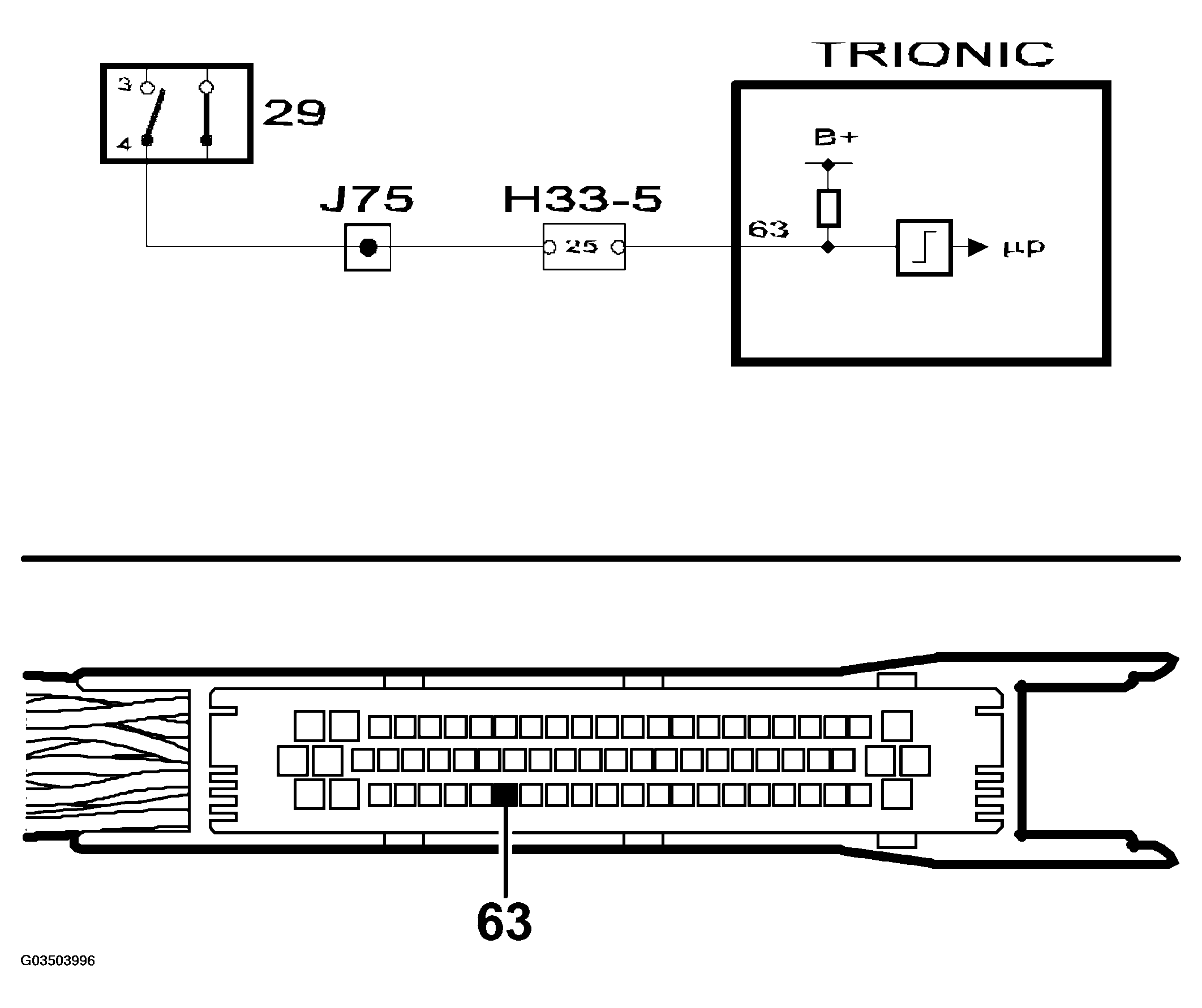 G03503996