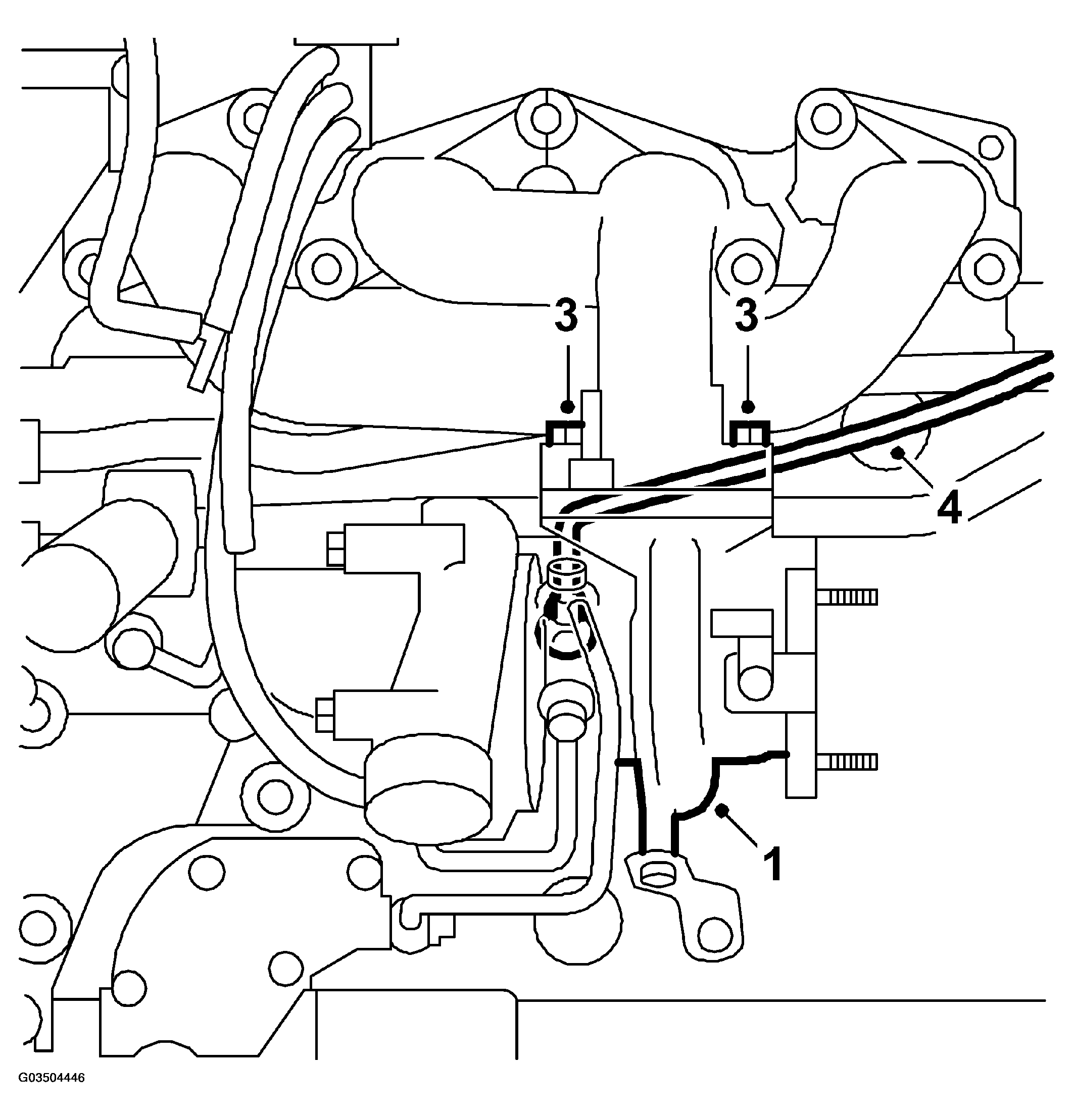G03504446