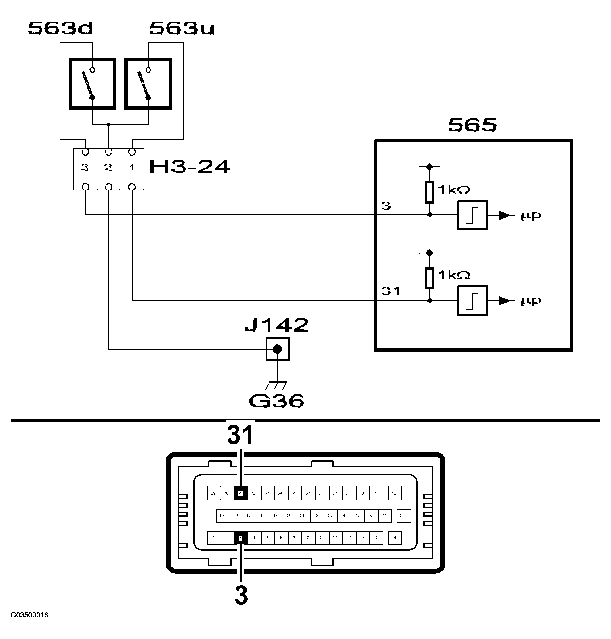 G03509016