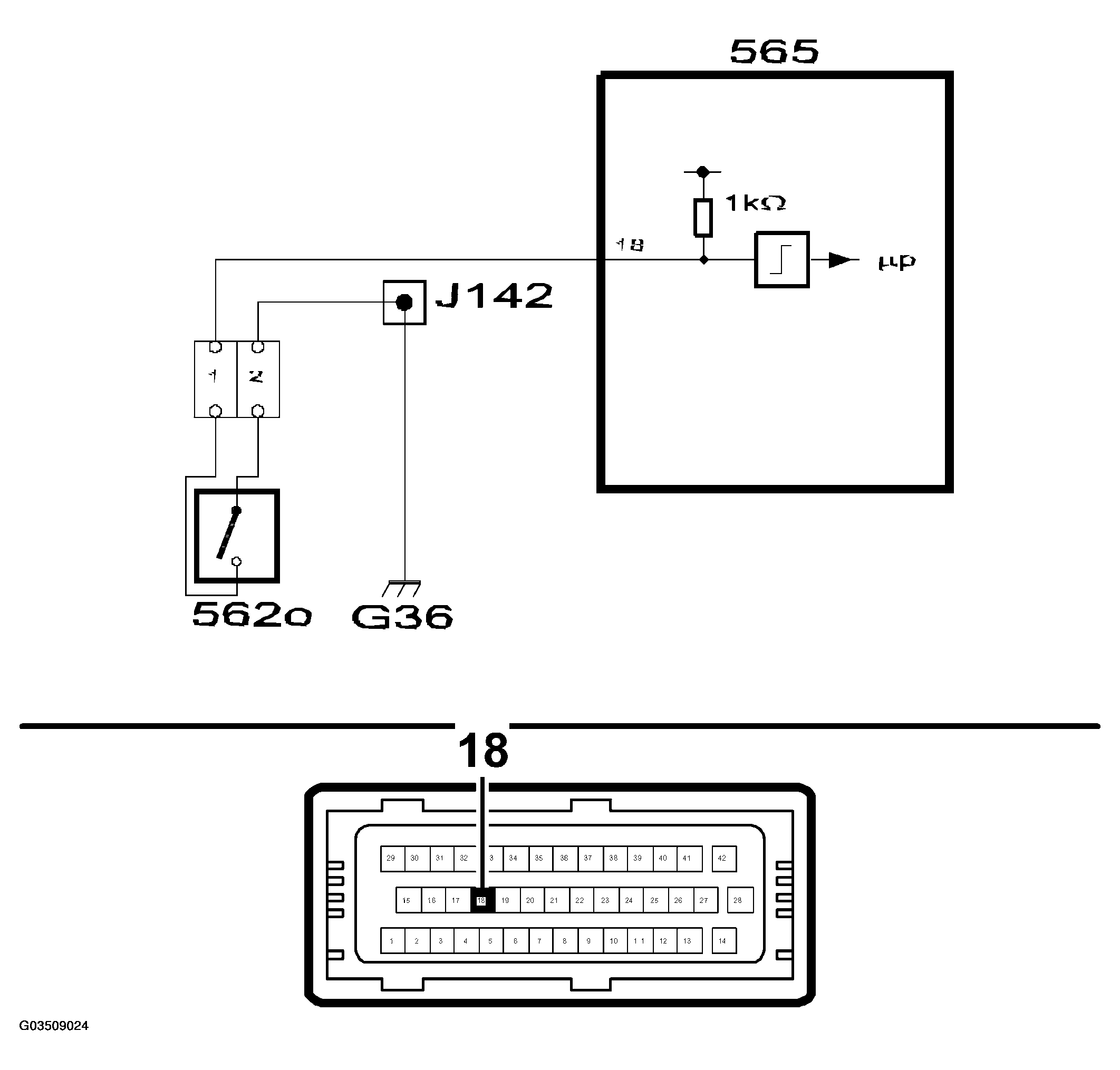 G03509024