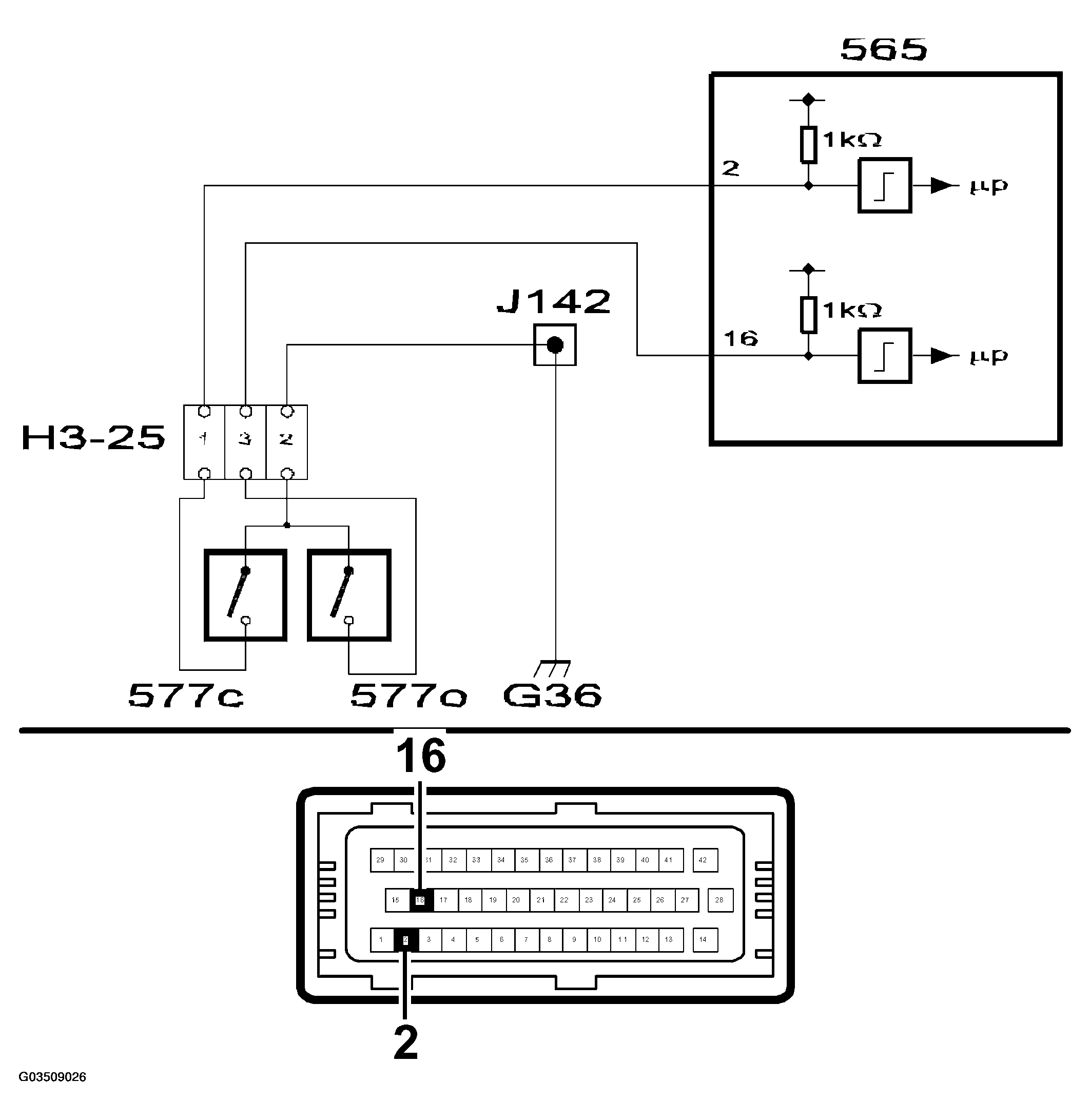 G03509026