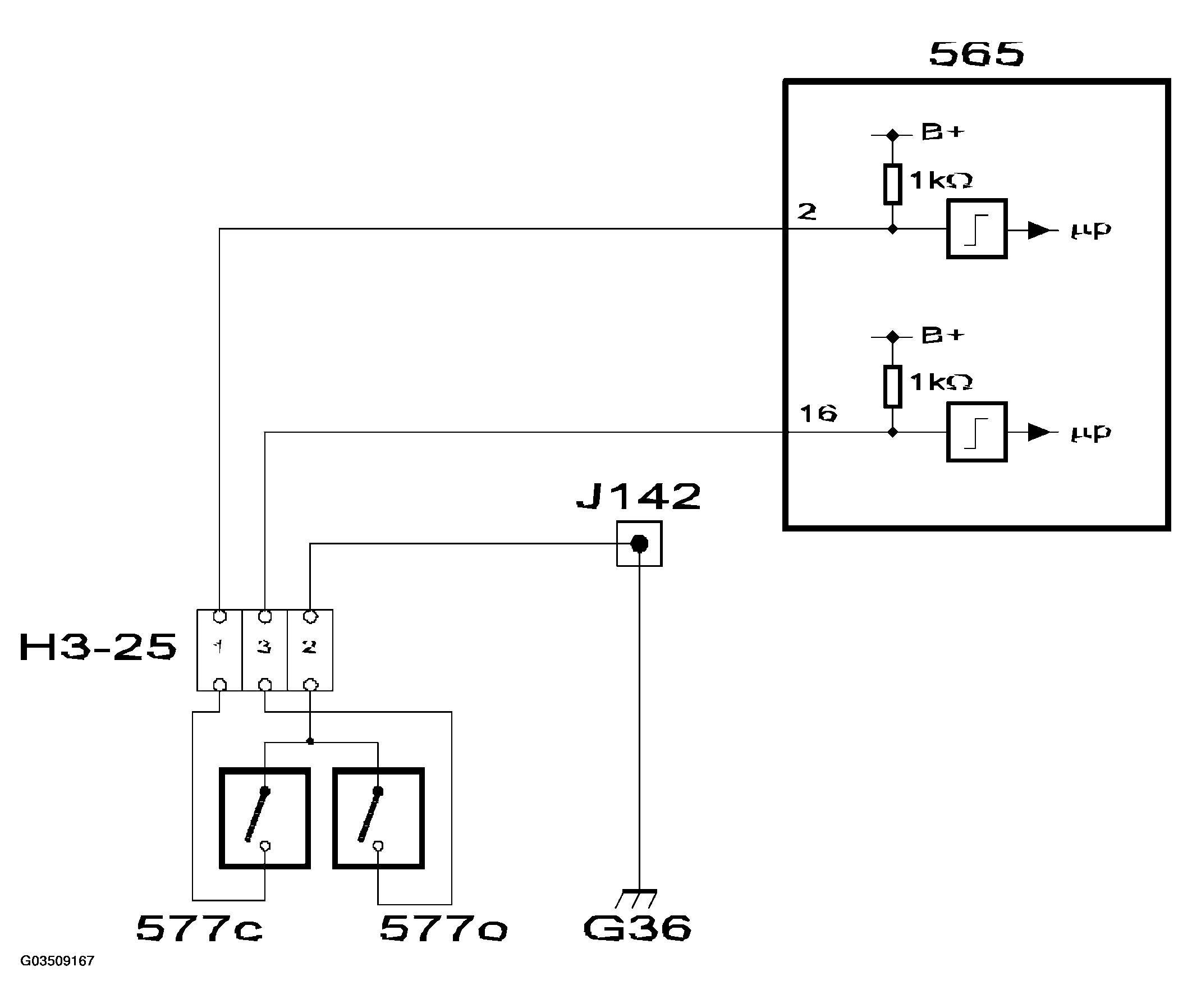 G03509167