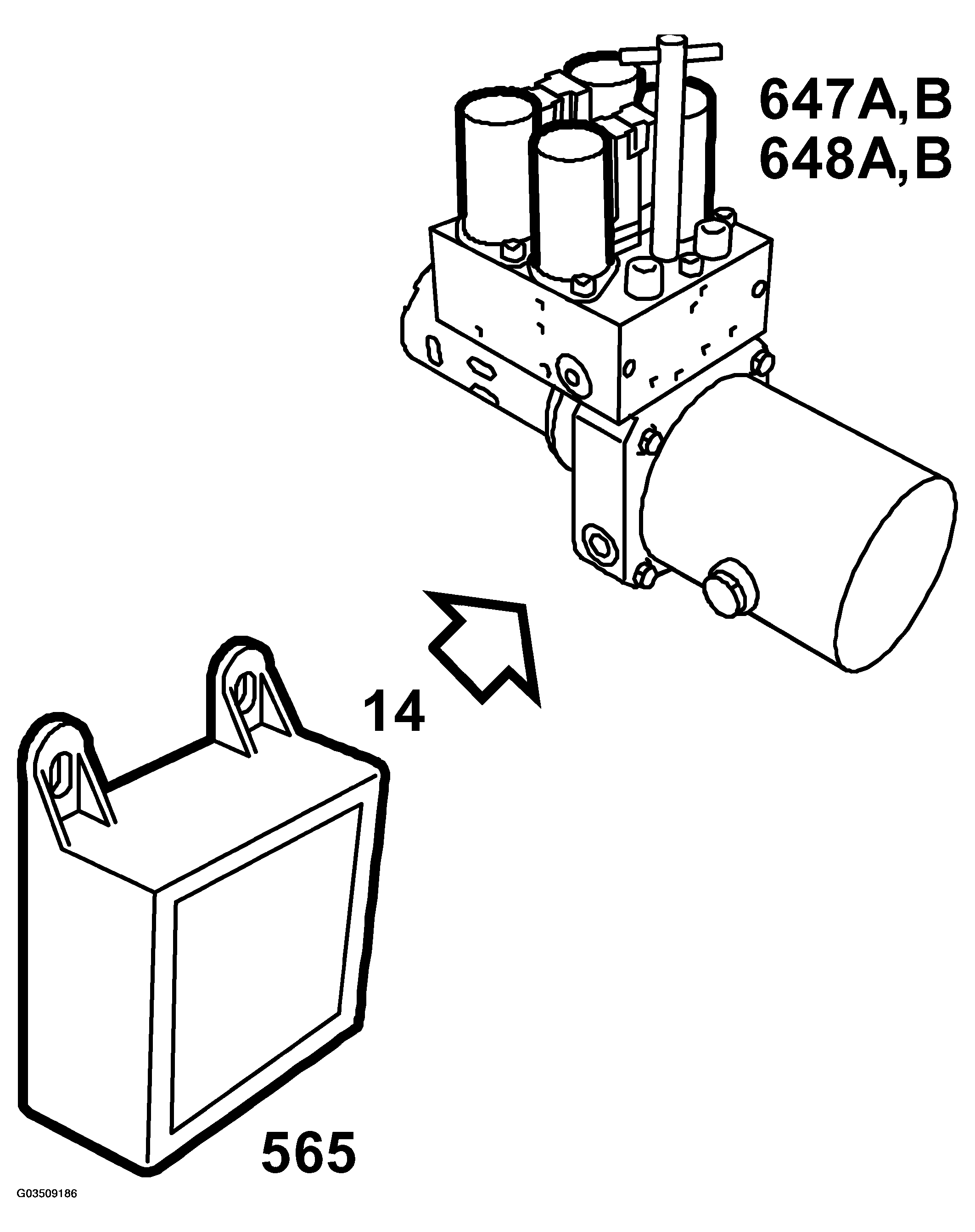 G03509186