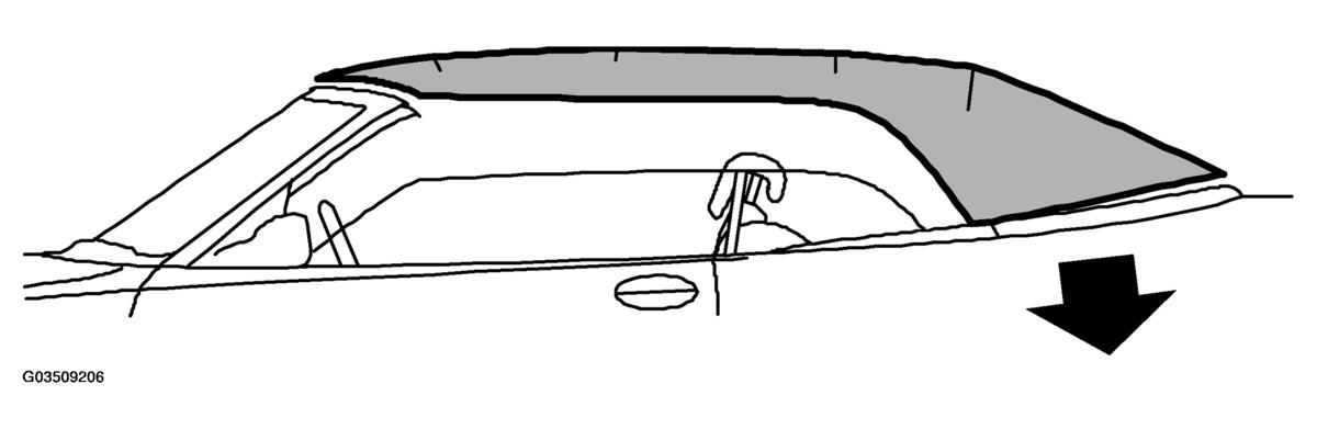 G03509206