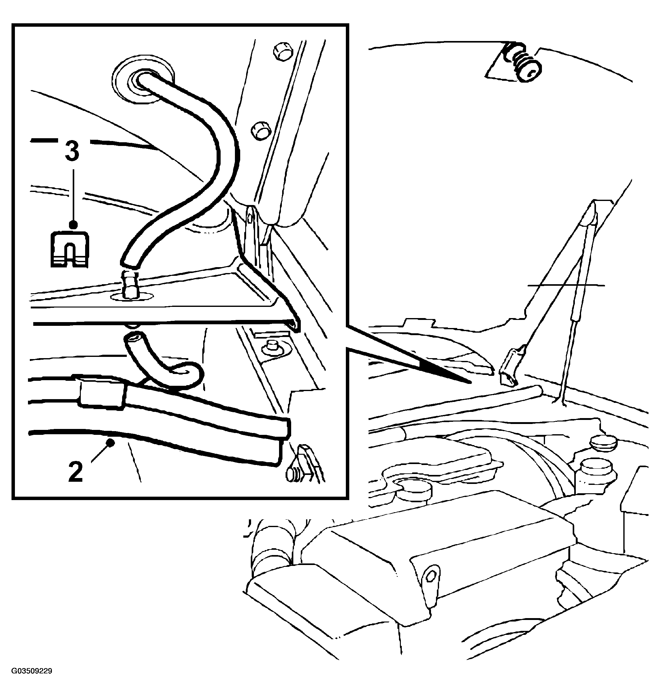 G03509229