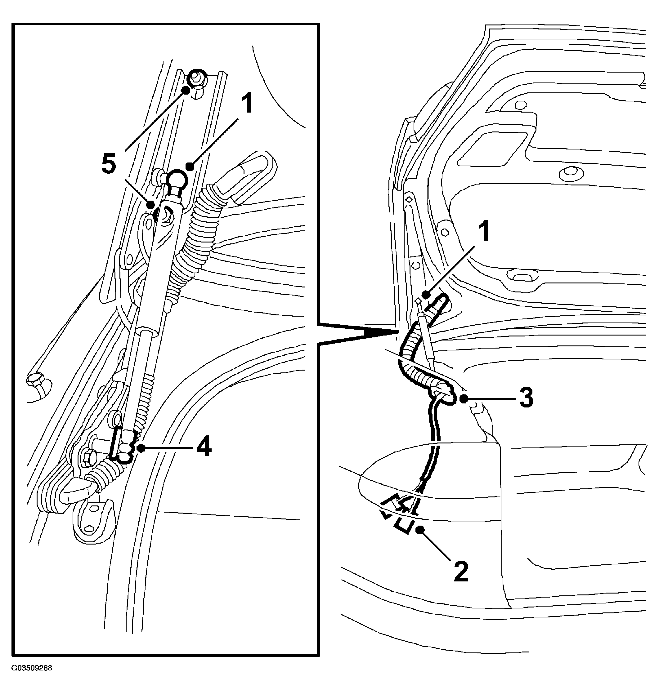 G03509268