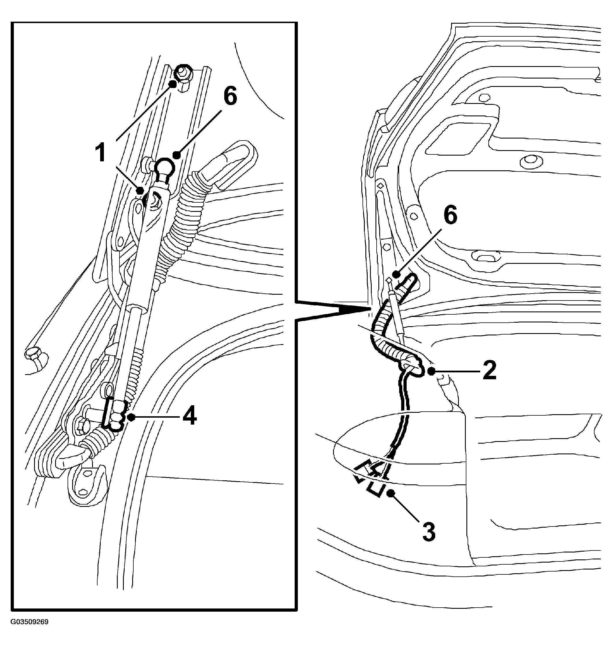 G03509269