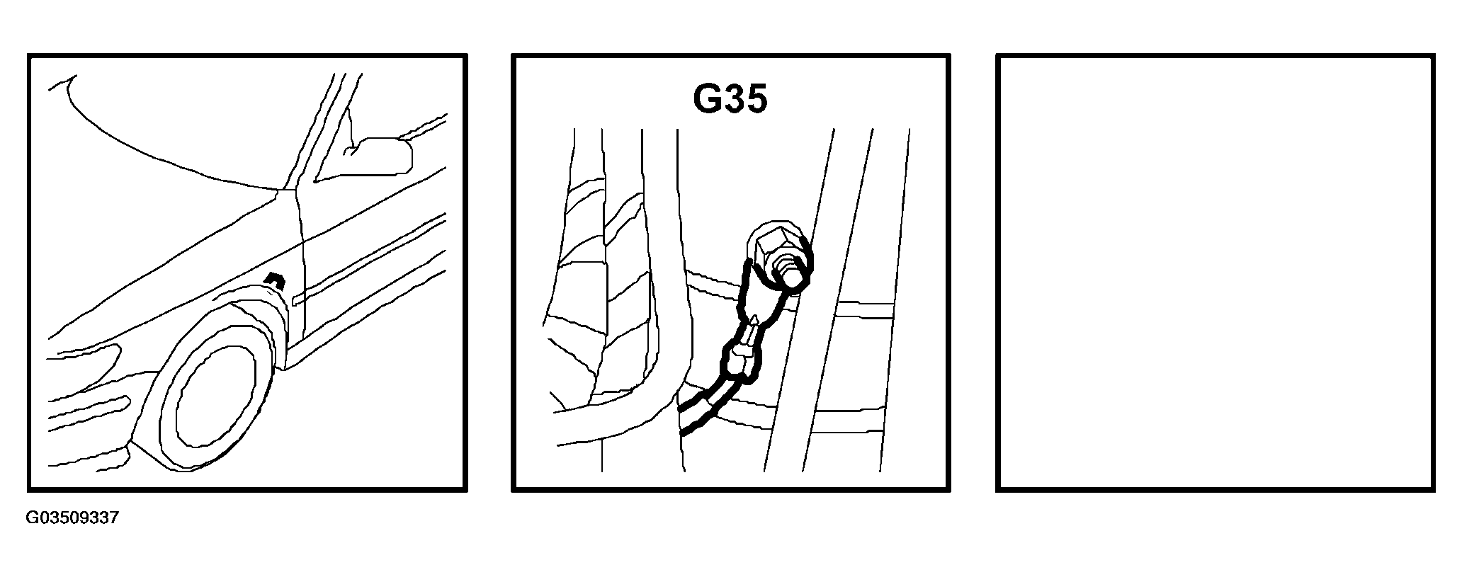 G03509337