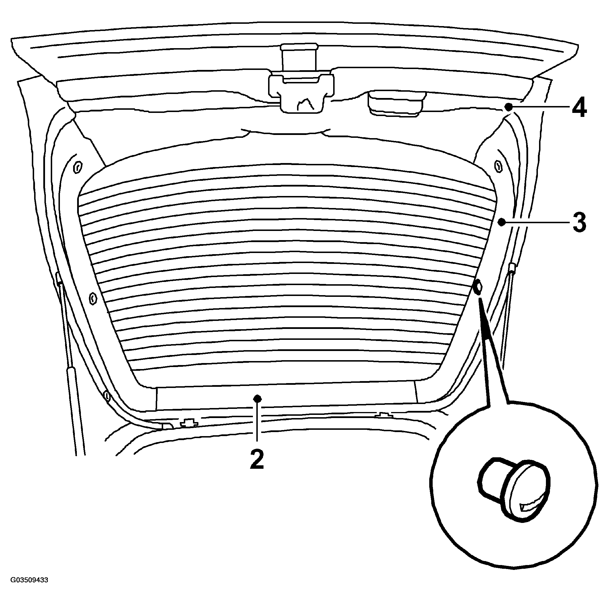 G03509433