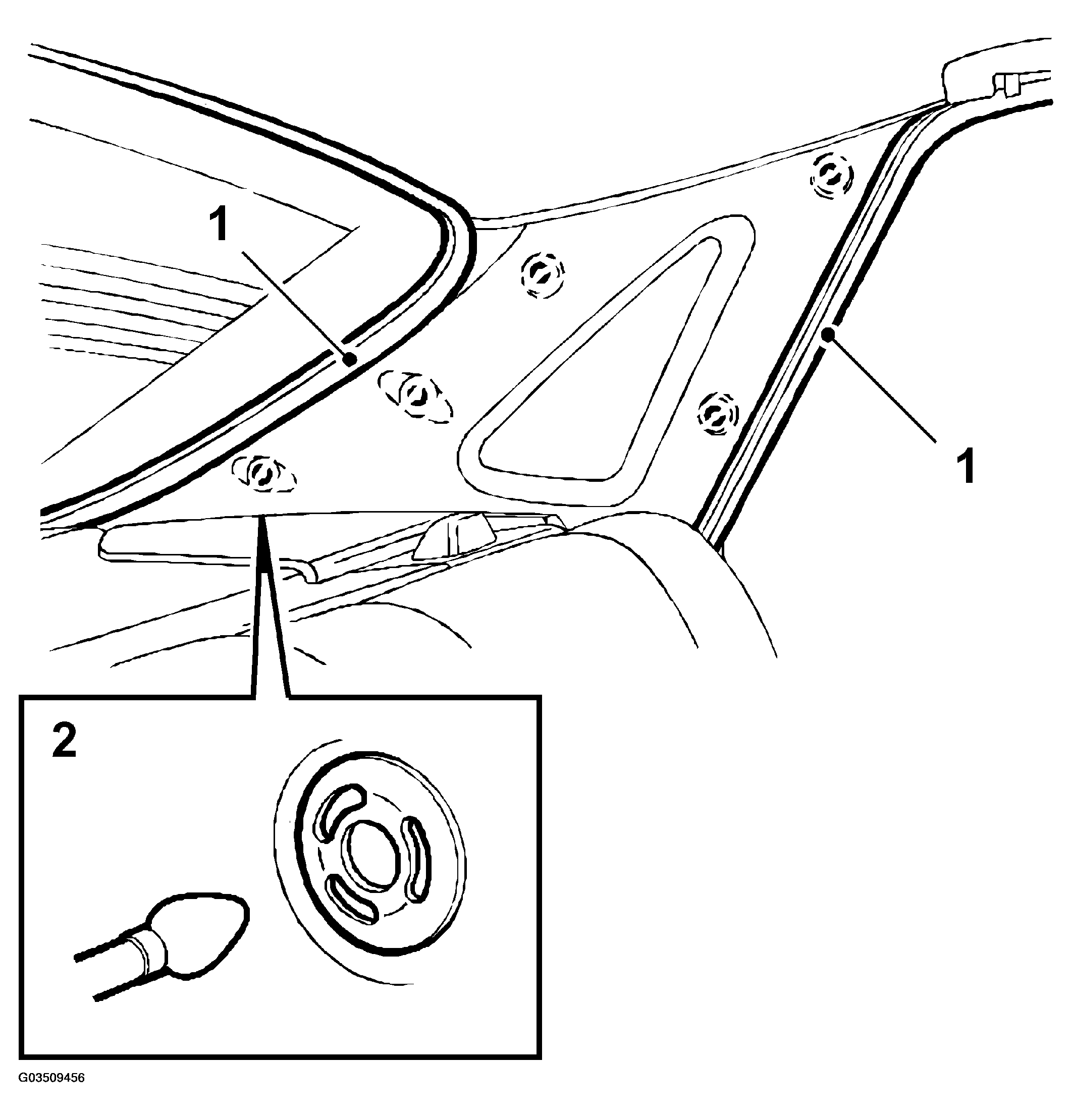 G03509456