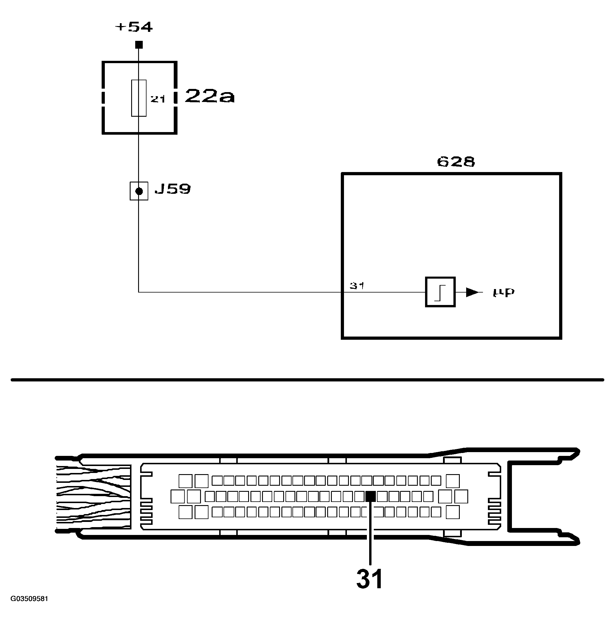 G03509581