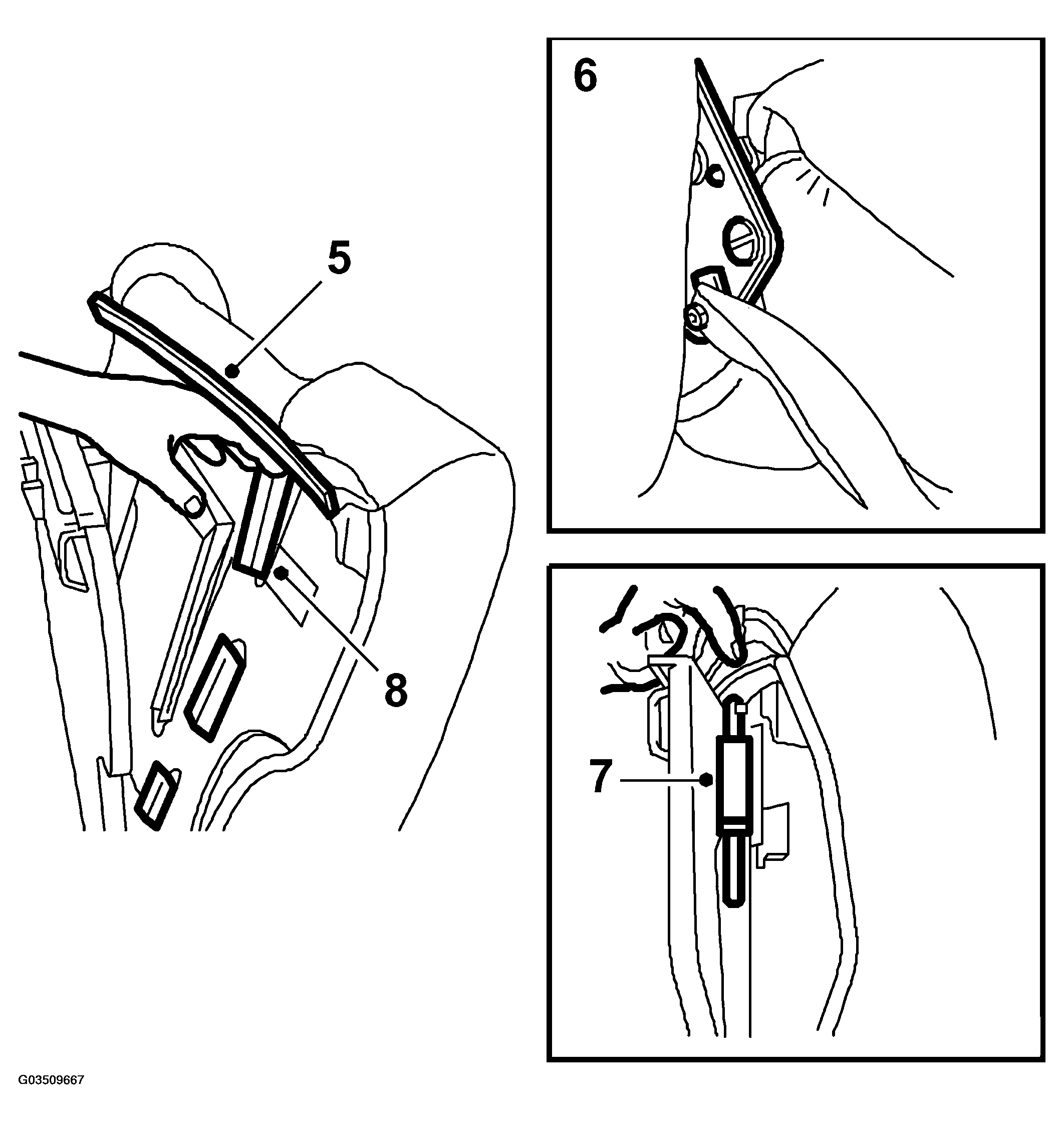 G03509667