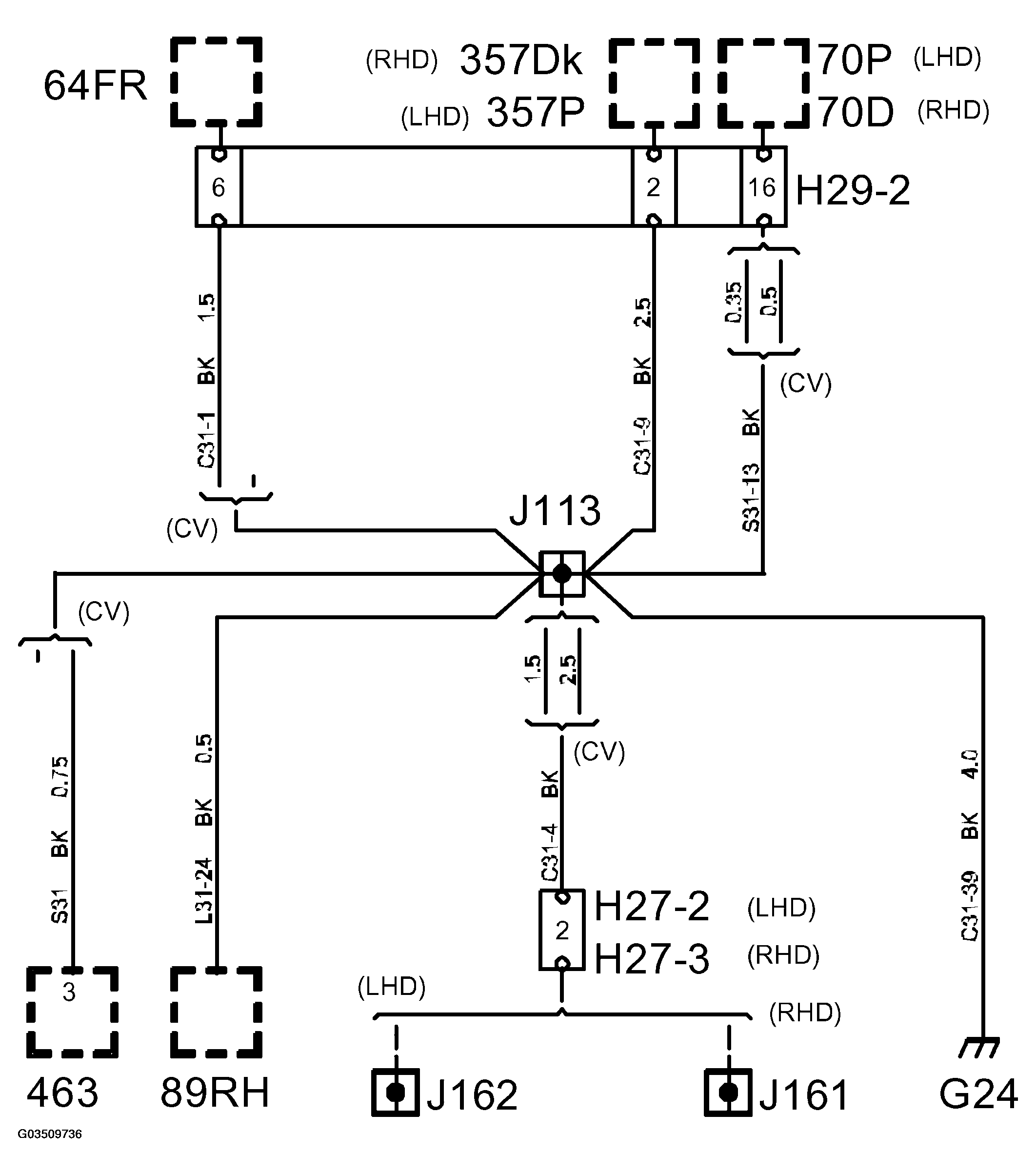 G03509736