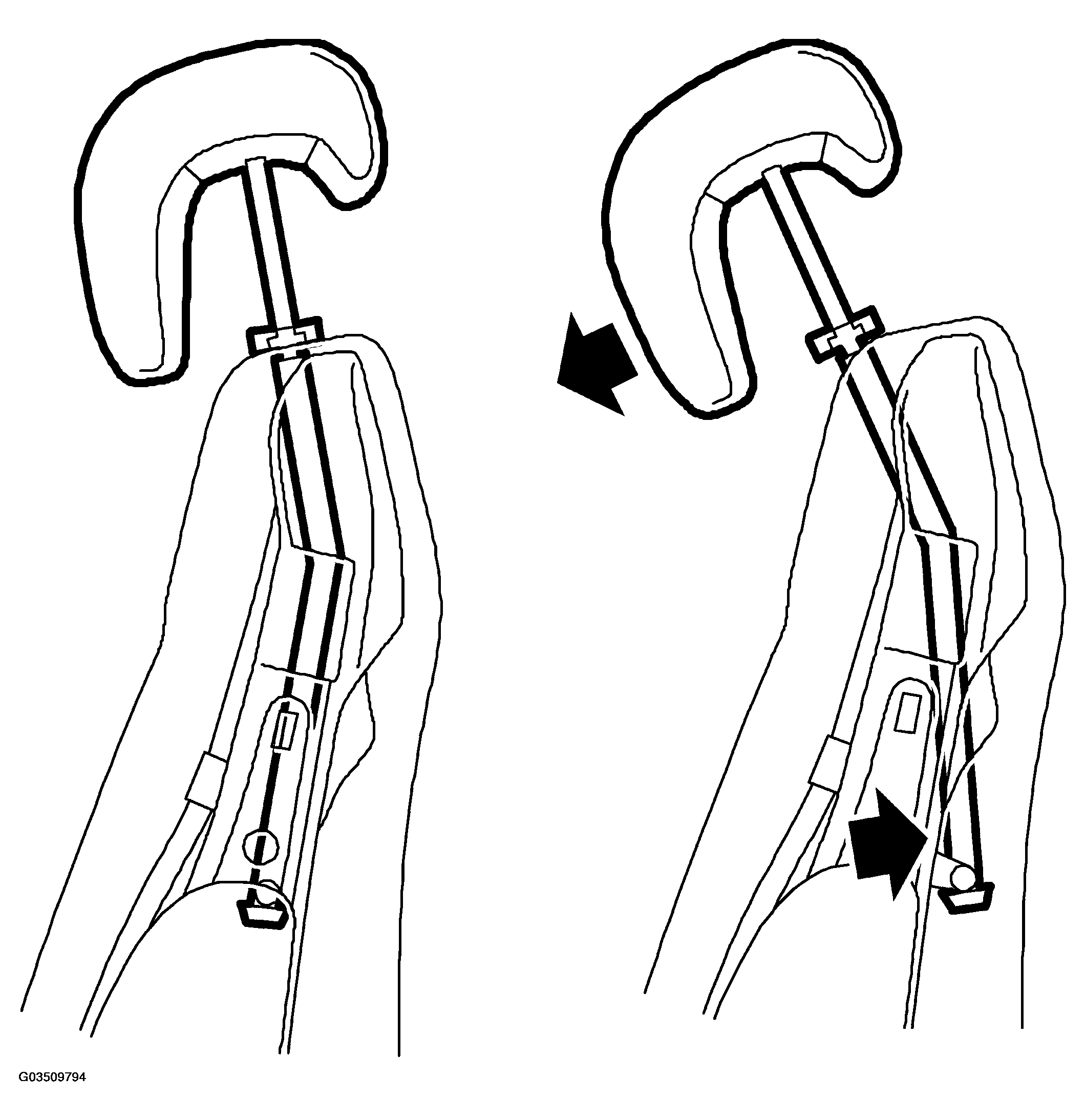 G03509794