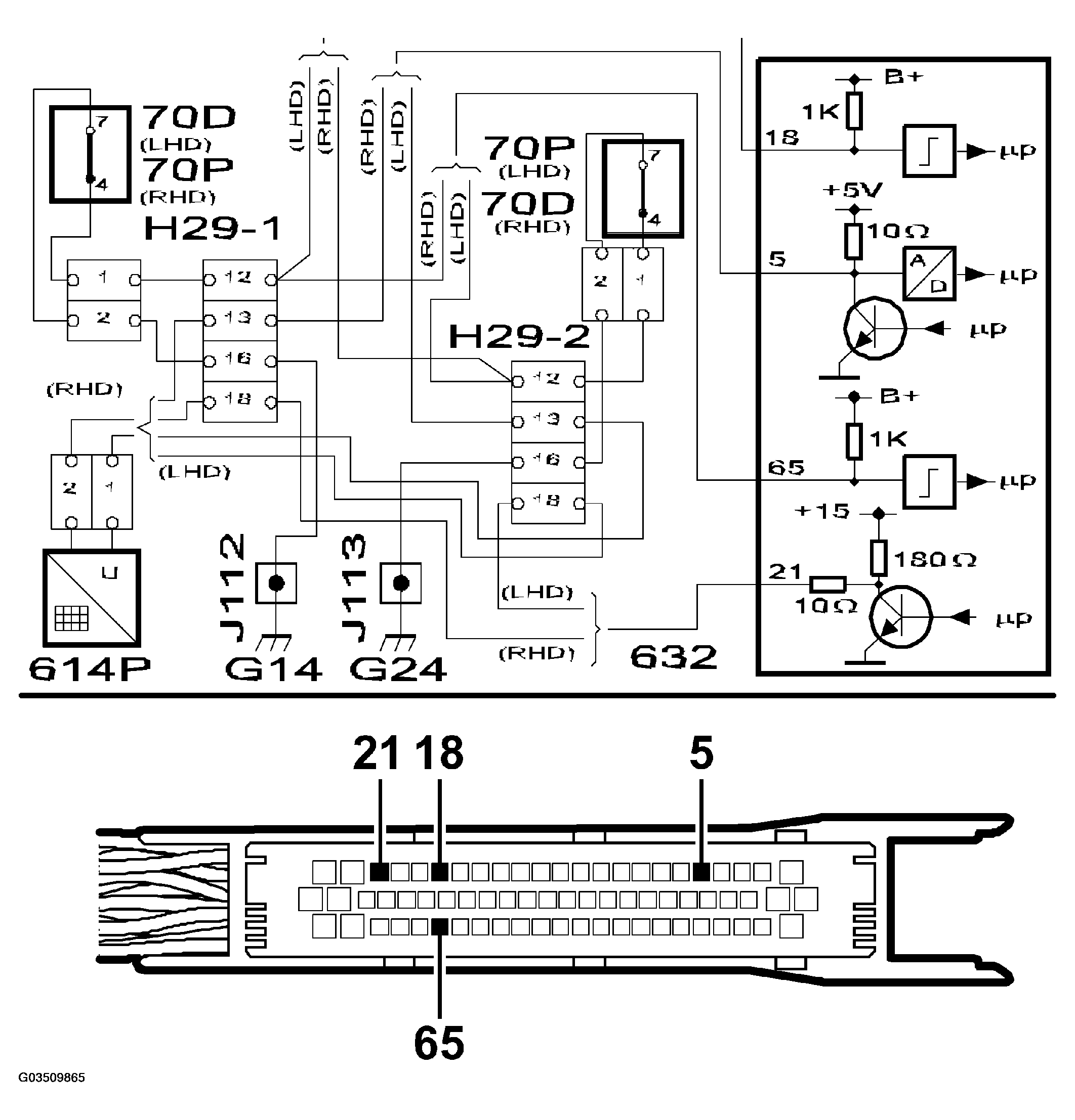 G03509865
