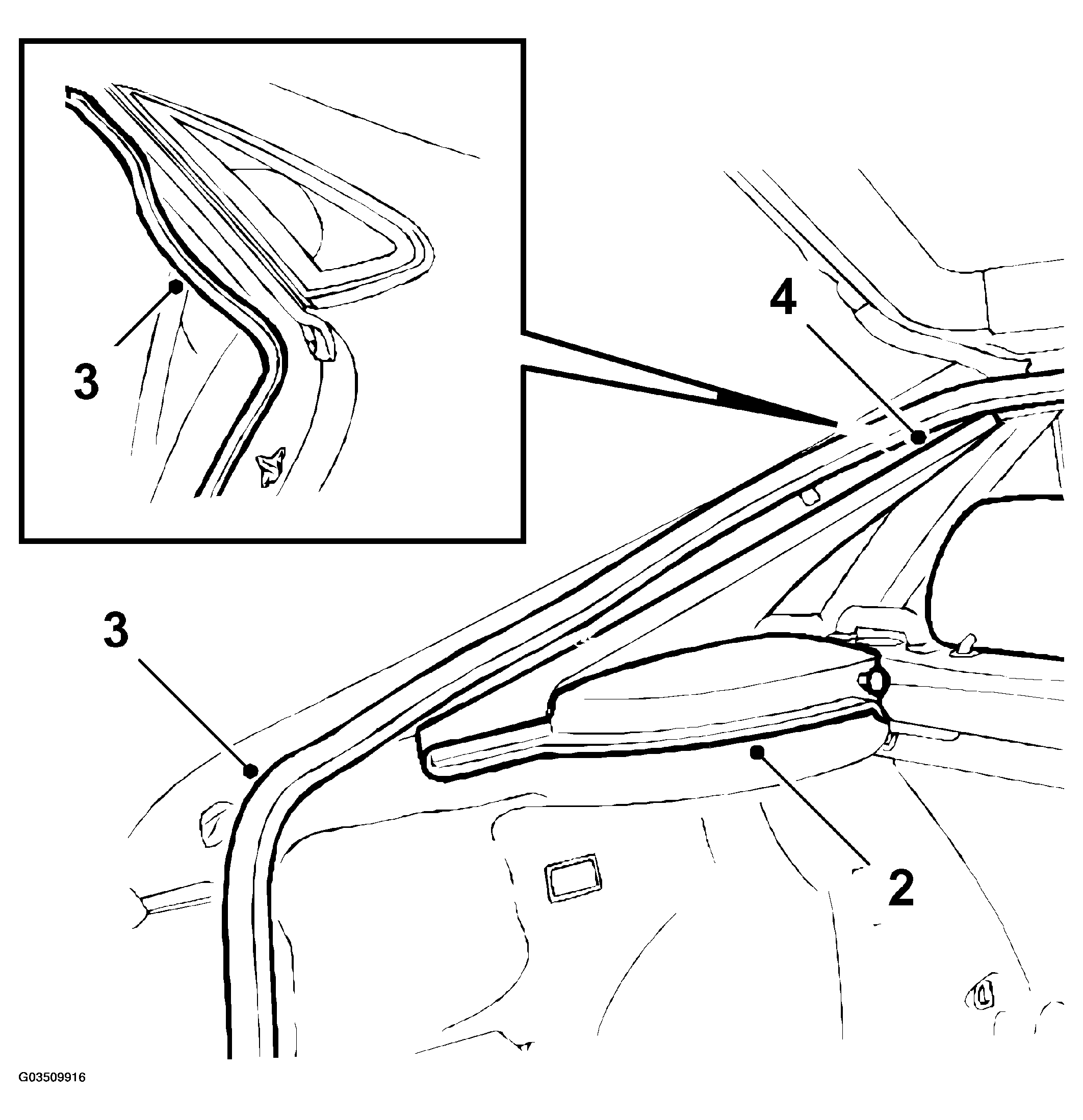 G03509916