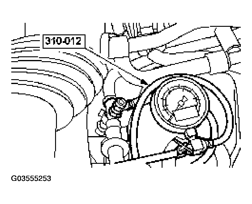 G03555253