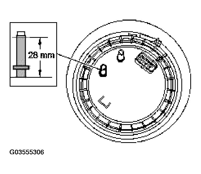 G03555306