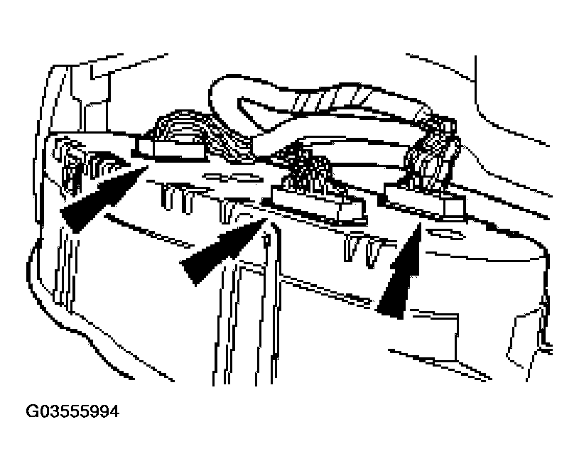 G03555994