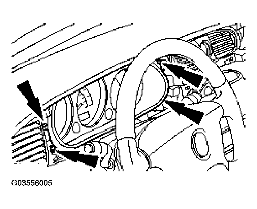 G03556005