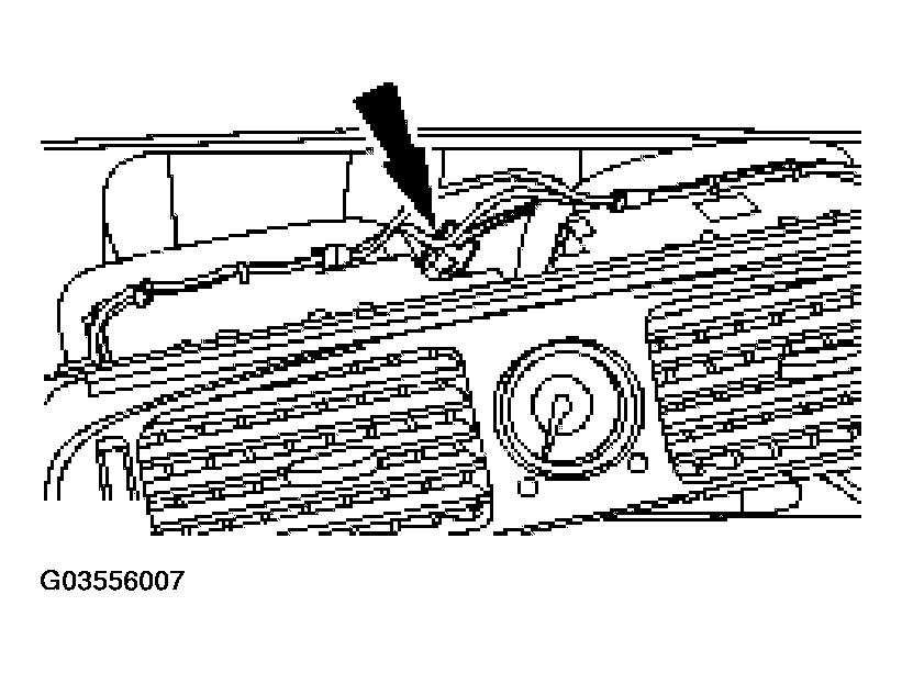 G03556007