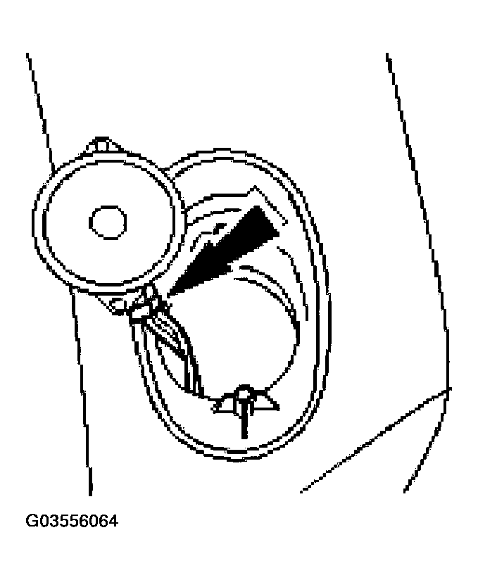 G03556064