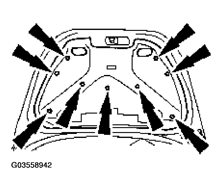G03558942