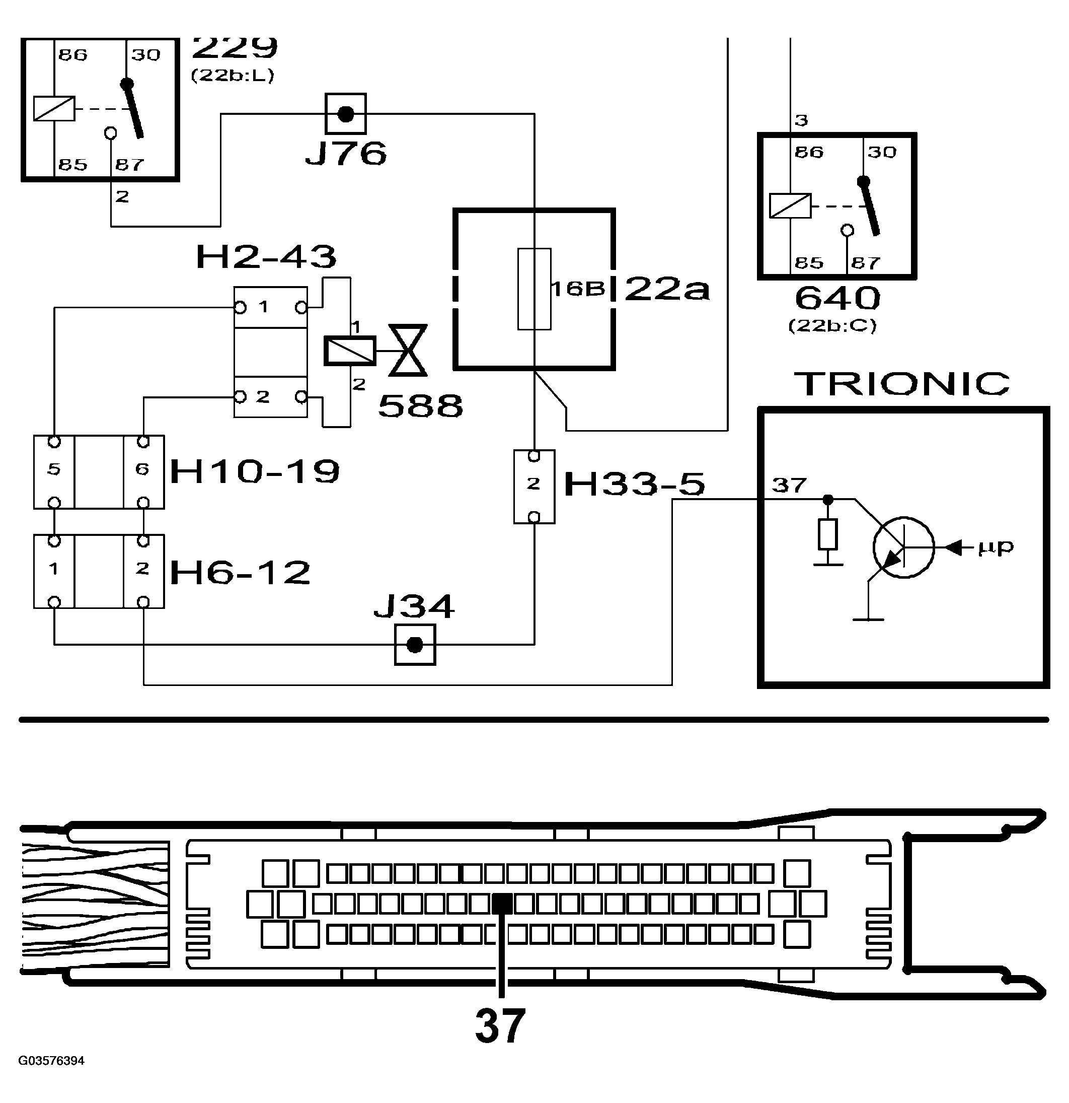 G03576394