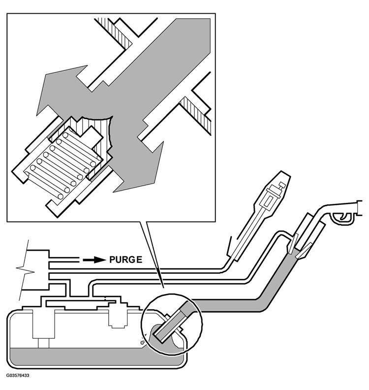 G03576433