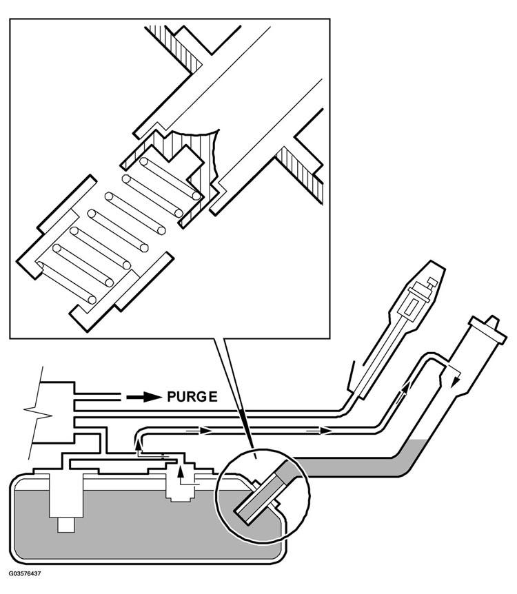 G03576437