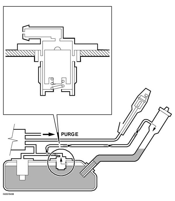 G03576438