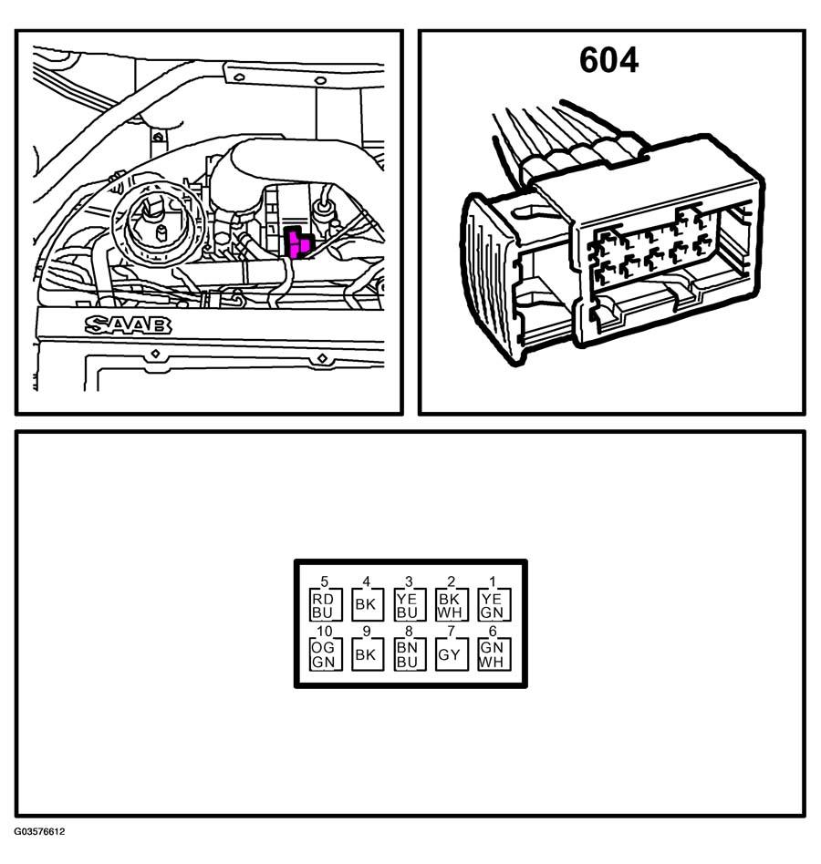 G03576612