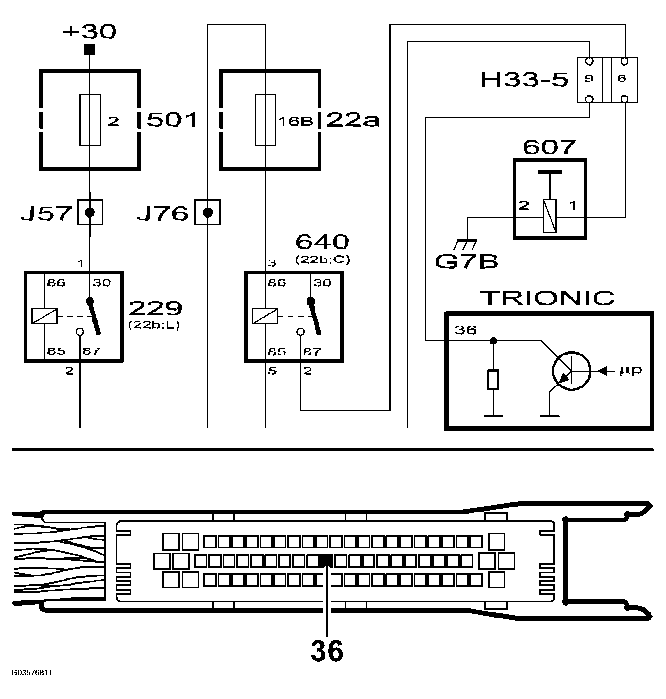 G03576811