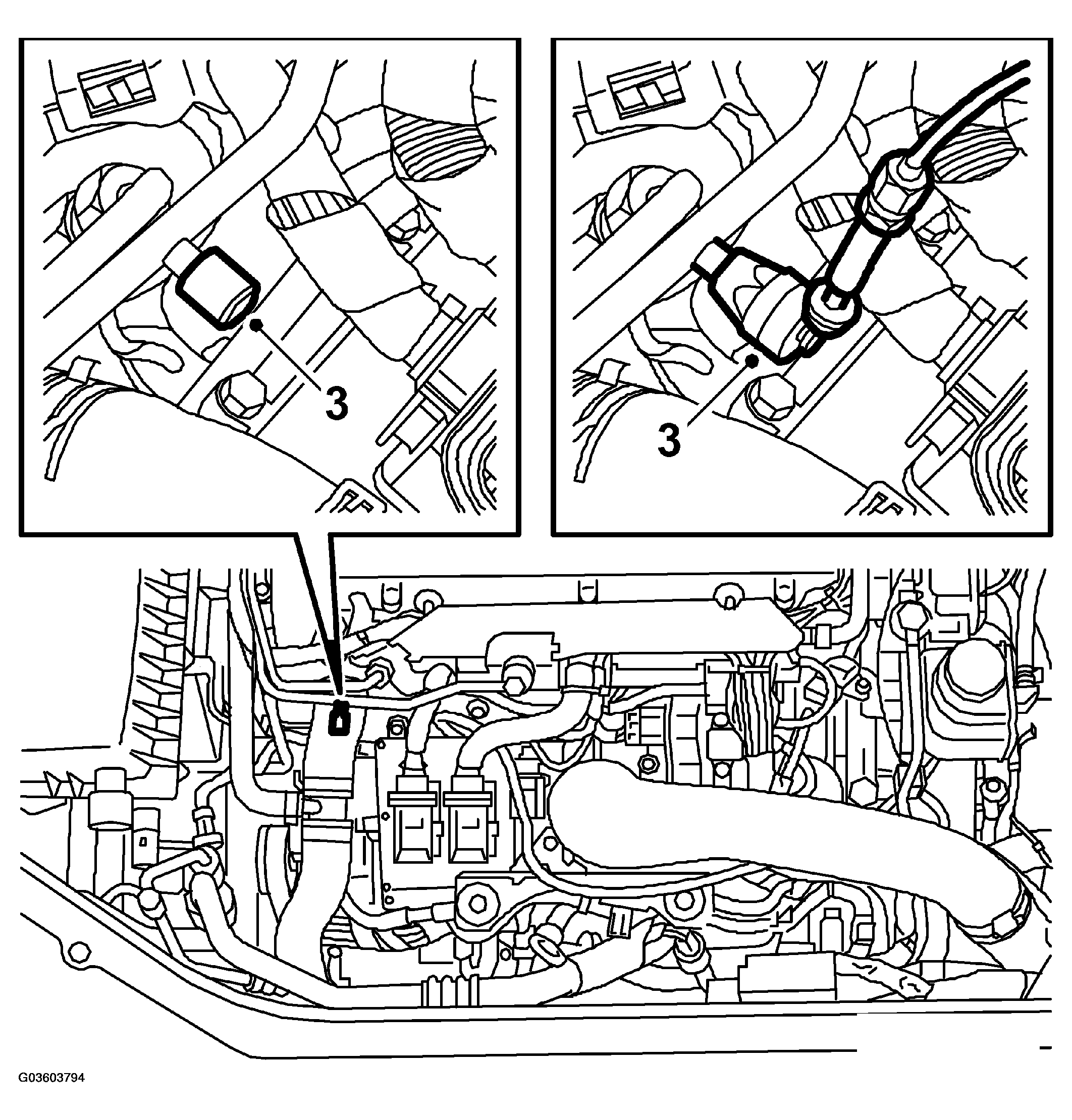 G03603794