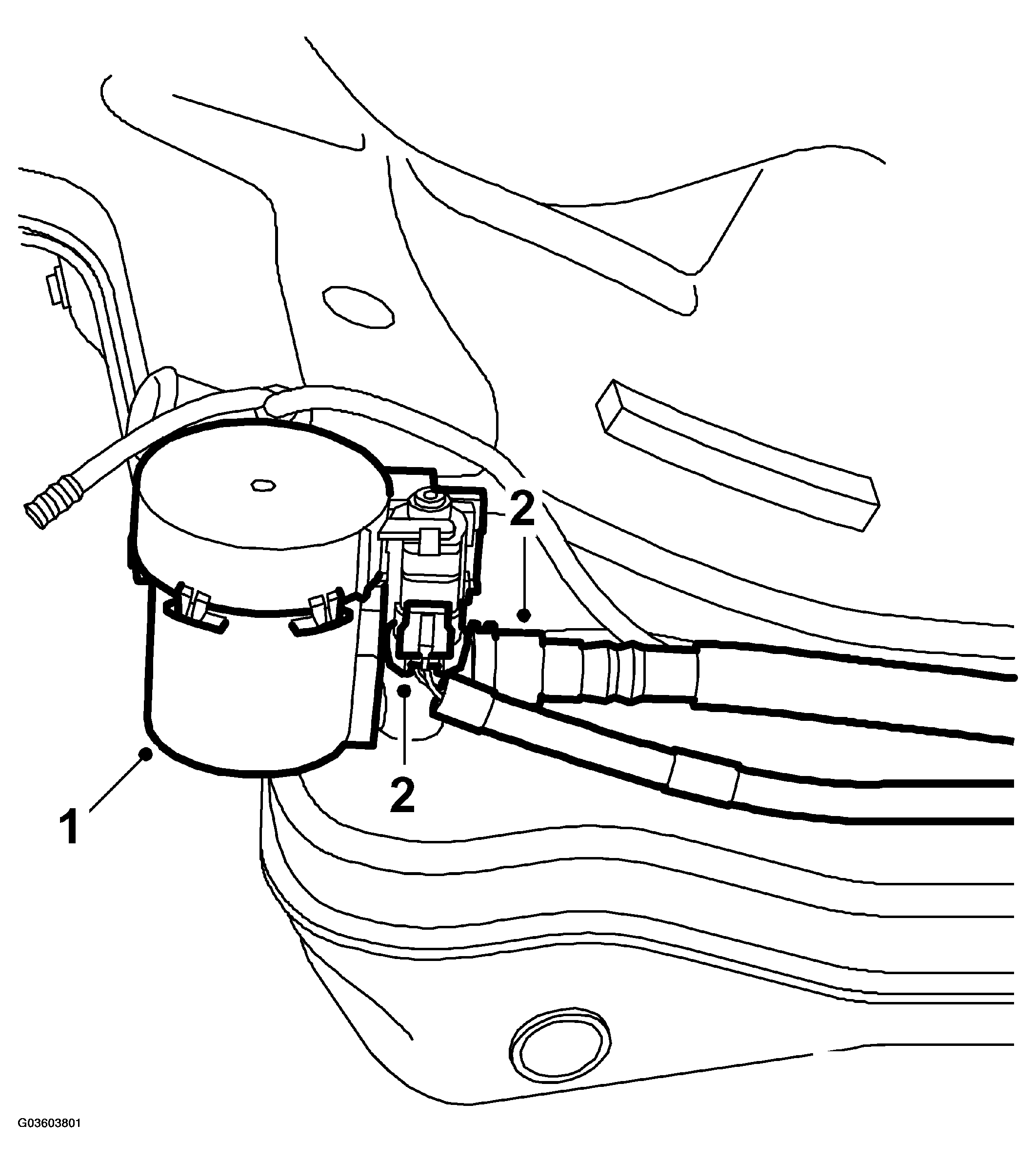 G03603801