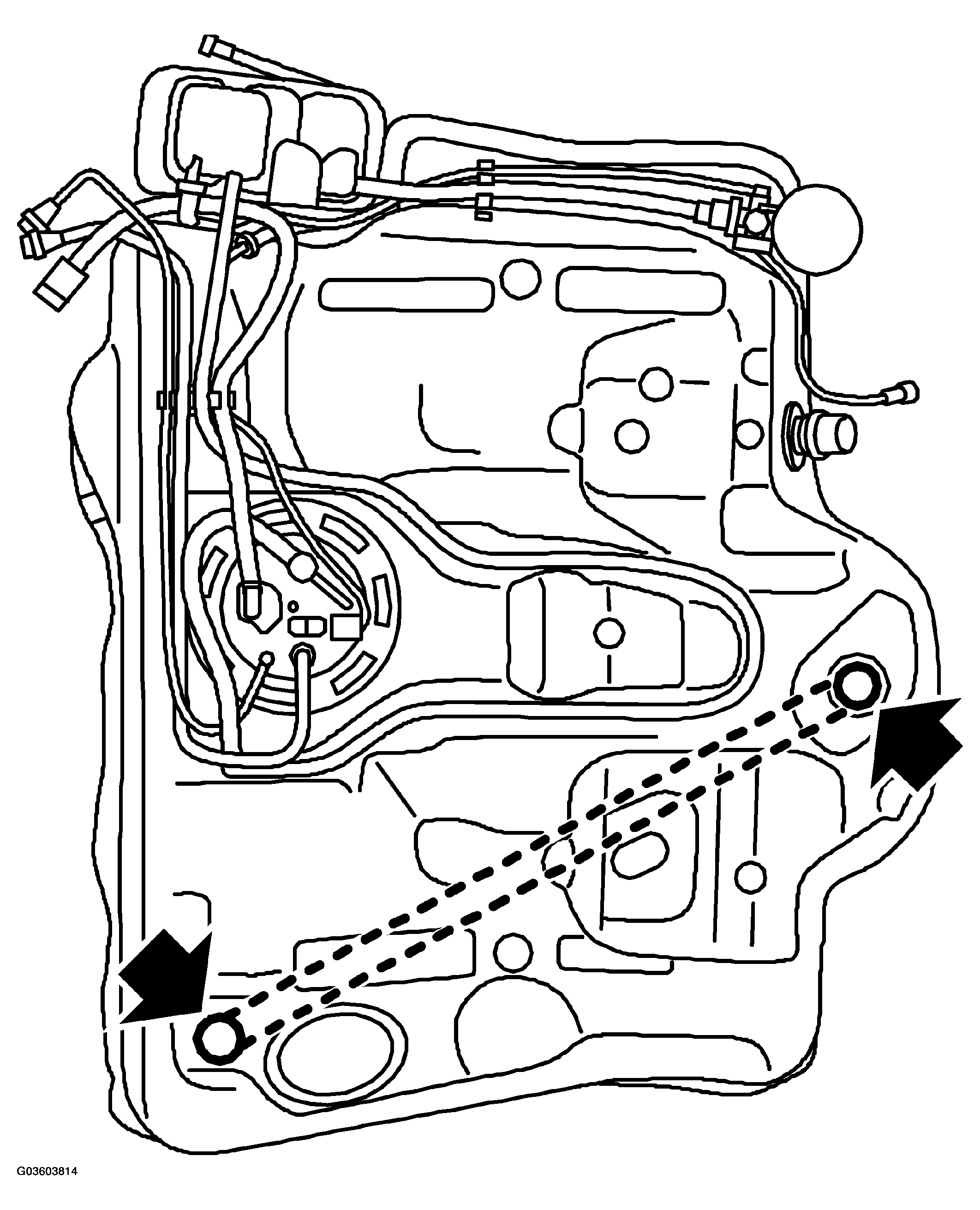 G03603814