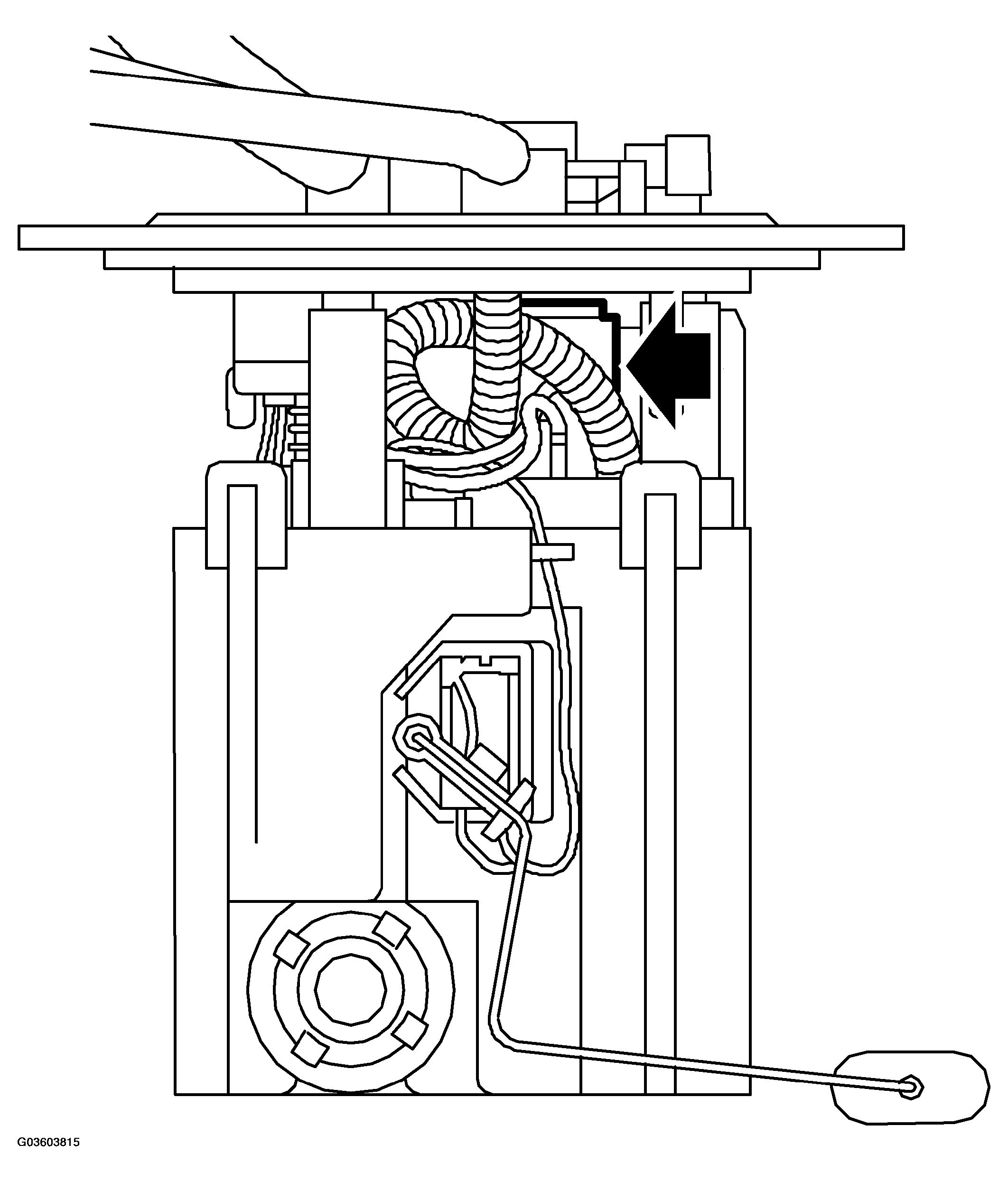G03603815
